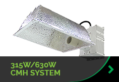 315W/630W CMH System