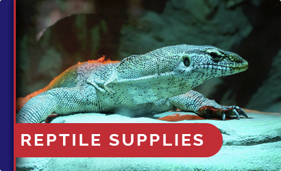 reptile Supplies