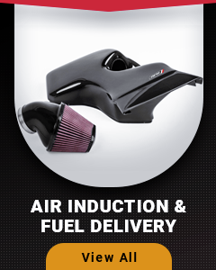 Air Induction & Fuel Delivery