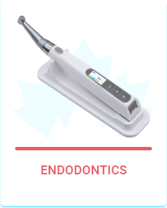 Endodontics 
